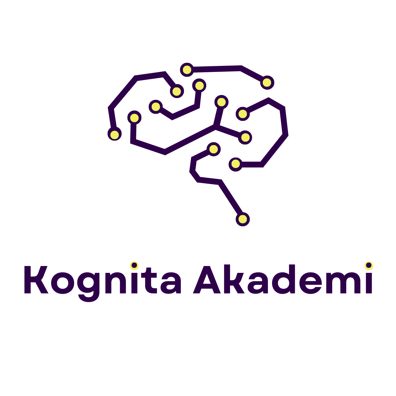 Kognita Akademi